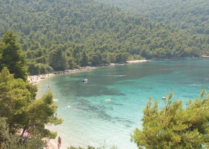 With Sea View V *